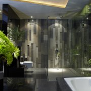 Floor-to-ceiling glass opens up this bathroom to the architecture, home, interior design, black
