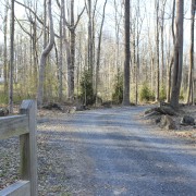 Seen here is the entrance to the house forest, path, road, state park, trail, tree, wood, woodland, gray