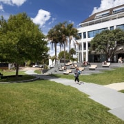 Hurstmere Green revitalises Takapuna - Hurstmere Green revitalises campus, city, daytime, estate, grass, lawn, mixed use, neighbourhood, park, plant, plaza, public space, real estate, residential area, tree, urban design, walkway, brown