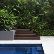 Contemporary outdoor entertaining area - Contemporary outdoor entertaining backyard, outdoor structure, plant, swimming pool, tree, water, green