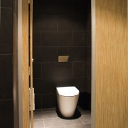 Fowler Seido Wall Faced Invisi II toilet suites bathroom, floor, flooring, interior design, plumbing fixture, product design, room, sink, tile, toilet, wood, black
