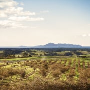 The majority of building sites in the new cloud, ecoregion, farm, field, grass, grassland, highland, hill, horizon, landscape, mountain, plain, plateau, prairie, rural area, savanna, shrubland, sky, steppe, tree, white, brown