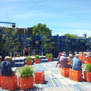 Summer Pallet Pavilion is another Christchurch Gap Filler marketplace, plant, tree, teal
