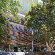 Tyree Energy Technologies Building University of New South architecture, building, city, condominium, facade, house, mixed use, plant, plaza, real estate, tree, brown