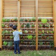 Located on the grassed area of the indoor-outdoor fence, grass, outdoor structure, plant, tree, brown, orange