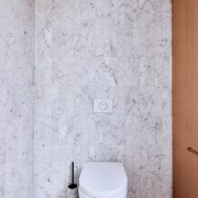 Toilet niche. - Easy on the eye, tricky 