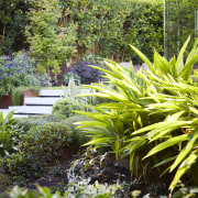 The plantings are designed around the owners' desire 