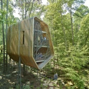 This tree house is the first of three forest, jungle, nature reserve, plant community, tree, woodland, green, brown