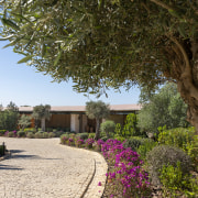 Dolunay Villa nestles within a beautiful Mediterranean garden. 