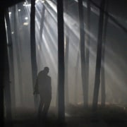 "Forêt" or "Forest": This space is bathed in atmosphere, atmospheric phenomenon, black-and-white, darkness, fog, light, mist, monochrome, photography, textile, transparent material, tree, black, gray