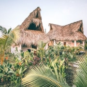 The lush gardens that permeate Swell inspire an architecture, arecales, attalea speciosa, building, hut, landscape, palm tree, plant, tree, tropics, vegetation, white