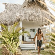 Swell - a surf and lifestyle hotel - arecales, attalea speciosa, building, cottage, house, hut, palm tree, plant, resort, thatching, tree, tropics, vacation, white, brown