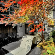 The owners wanted designer Martine Brisson and landscape architecture, autumn, branch, building, deciduous, flower, leaf, maple, maple leaf, nature, plant, red, room, sky, tree, woody plant, brown