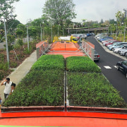 Outfitted with an innovative, locally developed and soil-less asphalt, grass, green, plant, road, shrub, transport, tree, vehicle