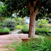 The round Vitex deck encircled by a low 