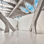 Dwarfed by natural science – the Entrance Hall 