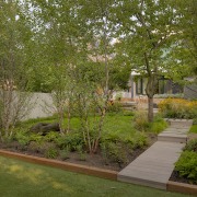 A cherry tree and a grouping of six 