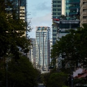 Organic lines in a world of straight lines.Photo 