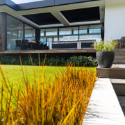 Orange plants, libertia peregrinans, provide a border between 