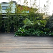 Bamboo X treme decking. - Bamboo X treme 