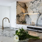 An undermount sink and discreet induction cooktop both 