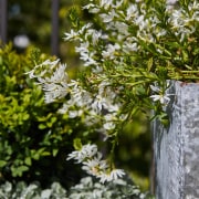 Planter detail. - Jardín de sueños - 