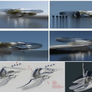 Harmonic Hotel 3 - fauna | fish | fauna, fish, fishing bait, fishing lure, herring, organism, sardine