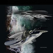 Harmonic Hotel 5 - computer wallpaper | graphic computer wallpaper, graphic design, graphics, organism, water, black