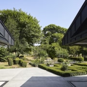 Looking out from the central courtyard that anchors 