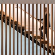 Stepping into nature – several wood species were brown