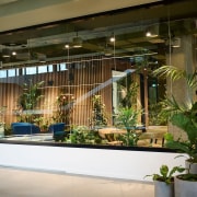 Looking into the terrarium from the communal office 