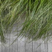 Natural tones dovetail with the strategic plantings. 