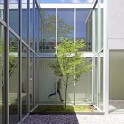 ​​​​​​​Full height, commercial glazing ensures natural light floods aluminium, architecture, building, daylighting, facade, glass, home, house, interior design, metal, plant, property, real estate, stairs, tree, window, white