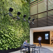 Custance Associates worked with landscapers Junglefy to create 60 Union, architecture, brick, building, courtyard, facade, furniture, garden, room, table, tree, urban design, wall, Custance Asscociatesgray