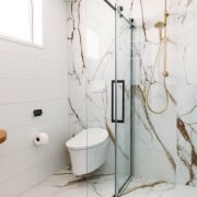 Master ensuite shower and toilet. - Now and 