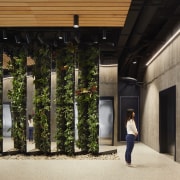 The building is projected to achieve a 6 architecture, house, tree, black