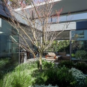 Looking from the courtyard garden through the home 