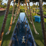 Architect: Olson KundigPhotography by Benjamin Benschneider arecales, leisure, palm tree, plant, reflection, resort, tree, water, brown