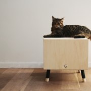 Designed by Krab - The table is small cat, cat like mammal, chair, floor, flooring, furniture, small to medium sized cats, table, whiskers, wood, gray