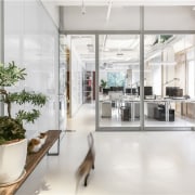 The use of white means the design studio flooring, interior design, lobby, white