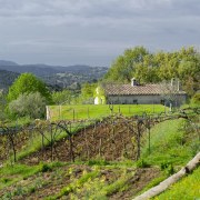 Architect: ELLENA MEHL ELLENAMEHL LNAMEL architectes agriculture, farm, field, grass, grassland, highland, hill, hill station, landscape, mountain, pasture, rural area, sky, tree, vegetation, village, vineyard, gray, brown