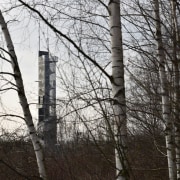 569 firestation - 569 firestation - birch | birch, branch, building, forest, sky, tree, trunk, wood, woodland, woody plant, black, white