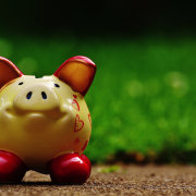 Buying your first home and need help with grass, macro photography, snout, green