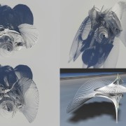 Designed by Margot Krasojevic font, product design, wing, gray