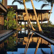Architect: Olson KundigPhotography by Benjamin Benschneider architecture, arecales, home, house, leisure, palm tree, plant, real estate, reflection, resort, swimming pool, tree, water, black