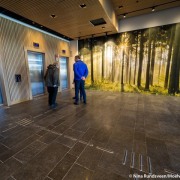 An appropriate ground-level mural in the wood-built building. architecture, building, floor, flooring, lobby, photography, brown, black