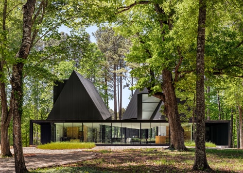 The home looking at-one with its wooded surrounds. 