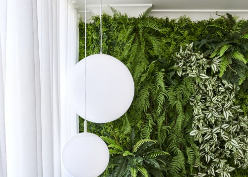 A green wall and timber steps. - Japanese 