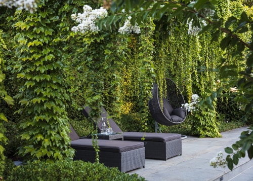 The project creates a private paradise. - Hanging 