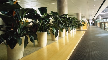 View of walk way area - View of floor, flooring, plant, brown